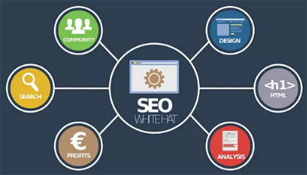 SEO、優(yōu)化、網(wǎng)站優(yōu)化